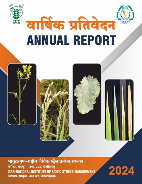 Annual report 2024-25