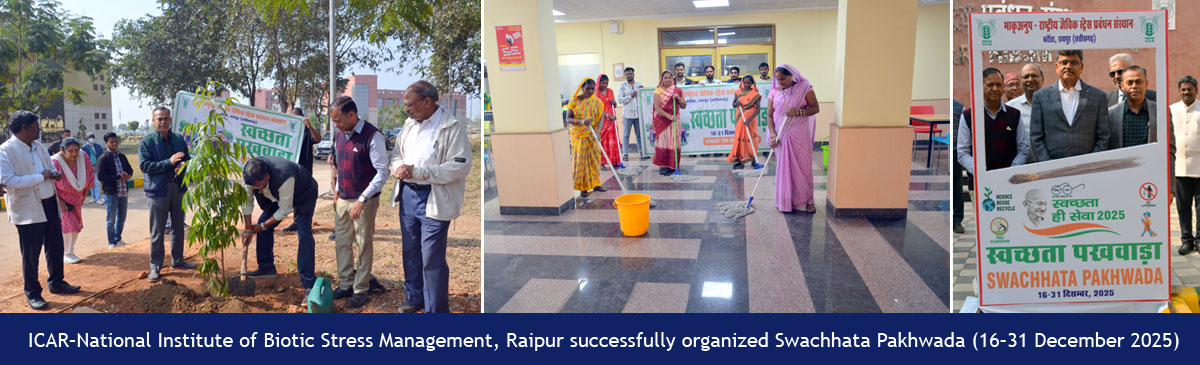 ICAR–National Institute of Biotic Stress Management, Raipur successfully organized Swachhata Pakhwada (16–31 December 2025)
